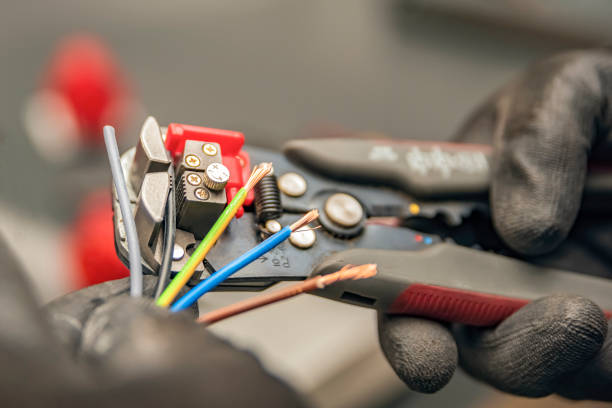 Best Ceiling Fan Installation Electrician  in Newton, AL