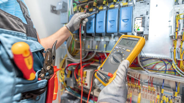 Best Electric Panel Repair  in Newton, AL